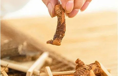 夏日三伏，教你如何科學(xué)養(yǎng)生，飲食指南讓你健康又消暑…